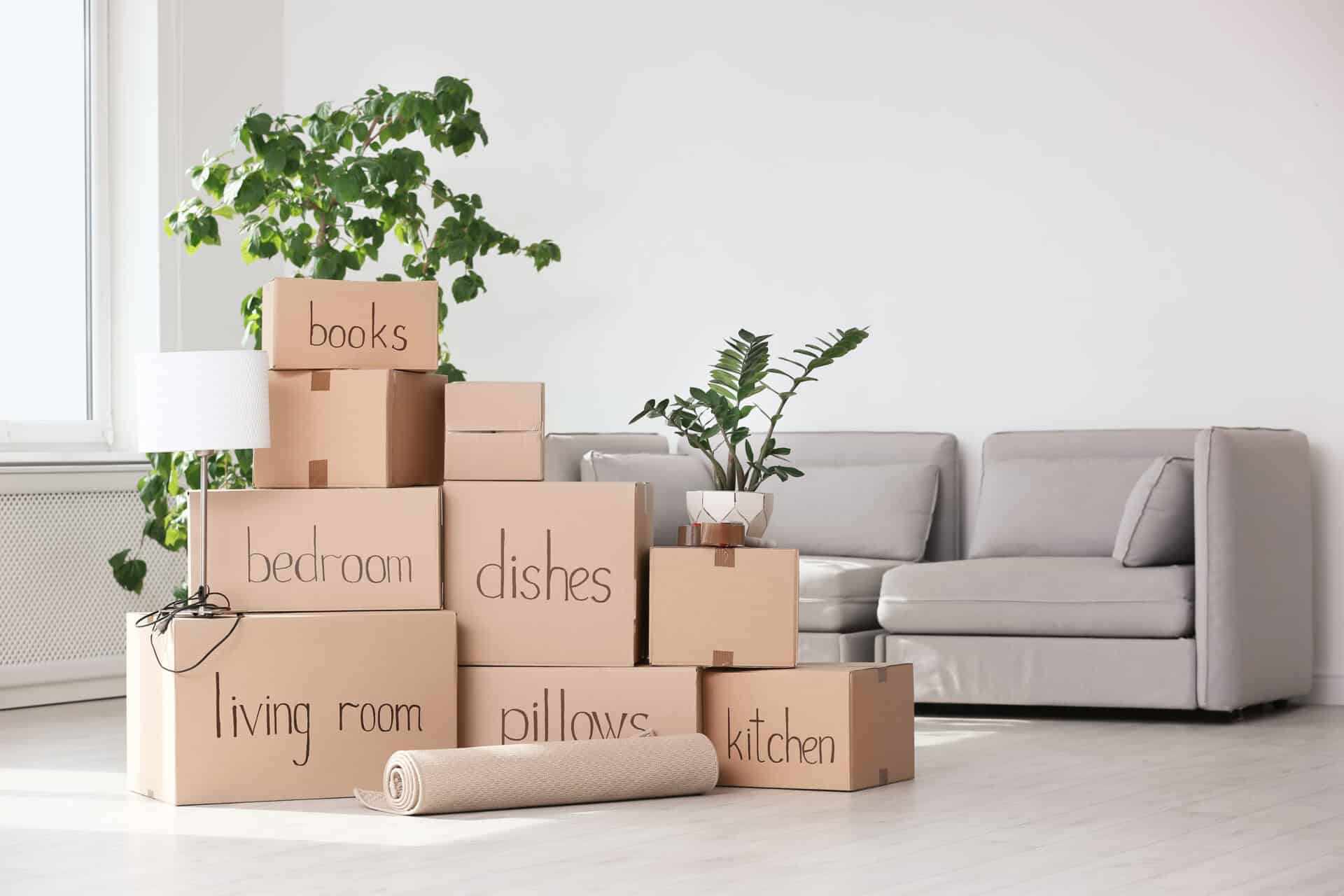 Packed moving boxes ready for a house move in Newtownabbey